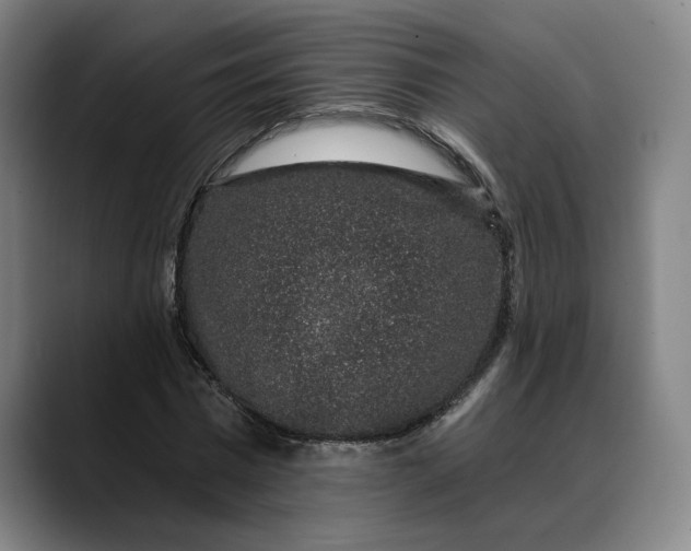 X0000088670777200706141335