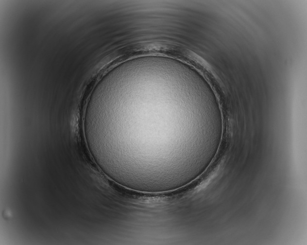 X0000088670778200706141335