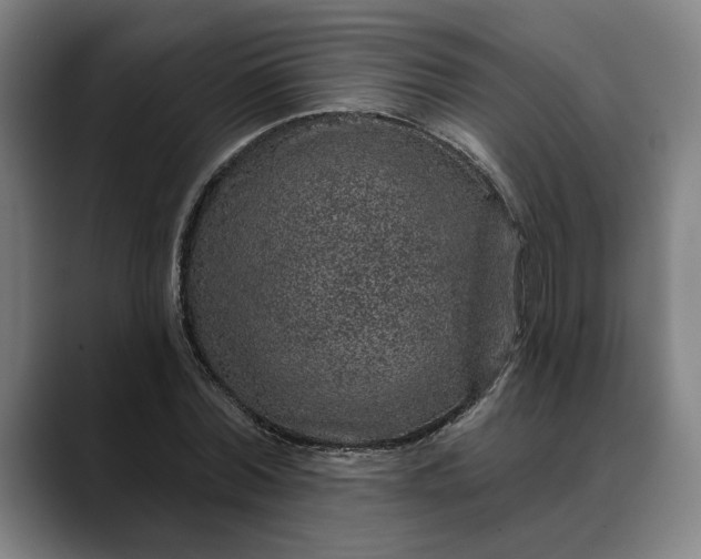 X0000088670780200706141335
