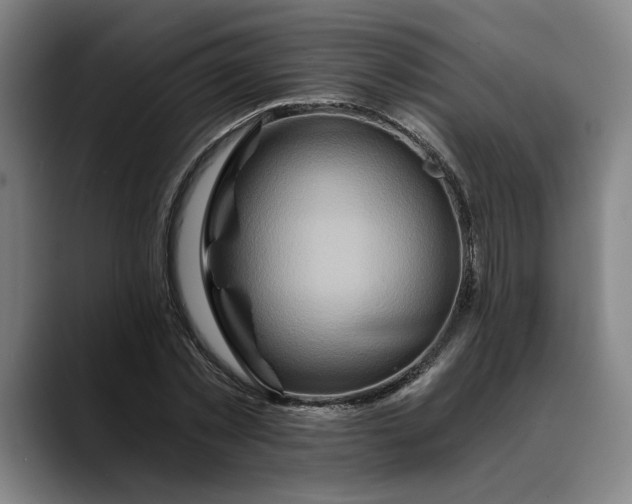 X0000088670781200706141335