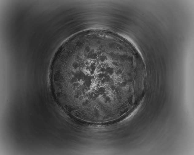 X0000088670783200706141335