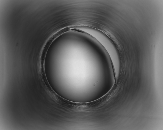 X0000088670784200706141335