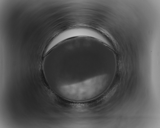 X0000088670785200706141335