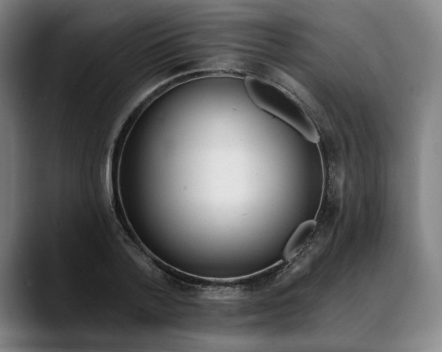 X0000088670788200706141335