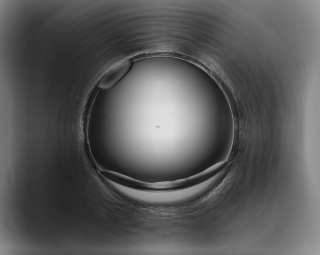 X0000088670789200706141335