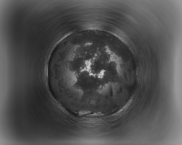 X0000088670790200706141335