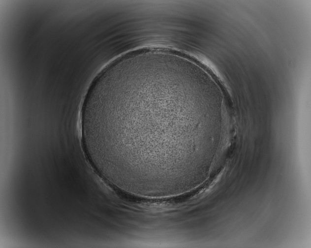 X0000088670791200706141335