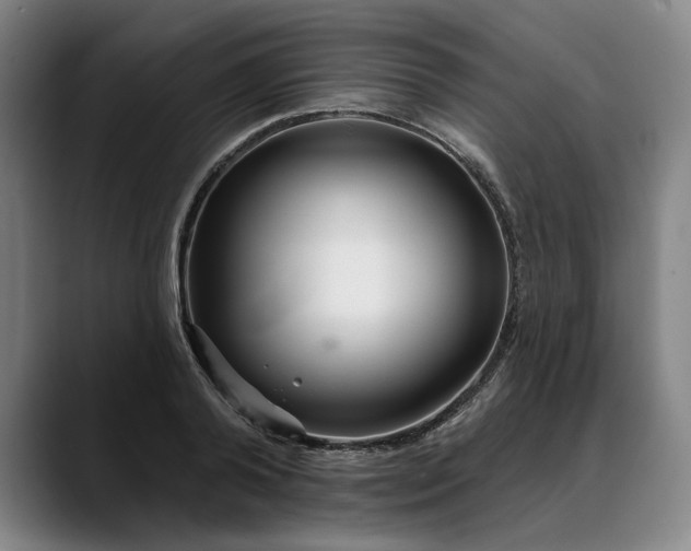 X0000088670792200706141335