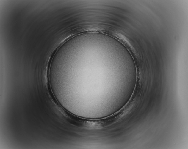 X0000088670794200706141335