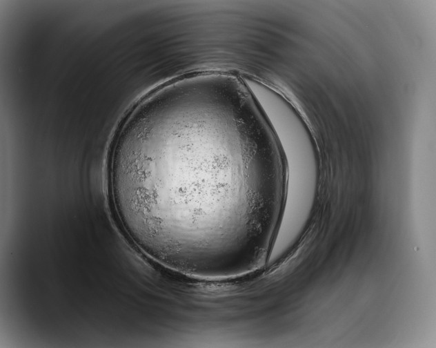 X0000088670795200706141335