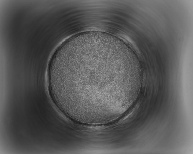 X0000088670796200706141335