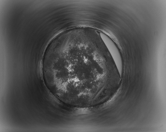 X0000088670798200706141335