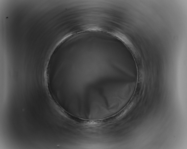 X0000088670806200706141335