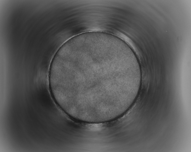 X0000088670810200706141335