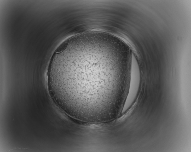 X0000088670814200706141335