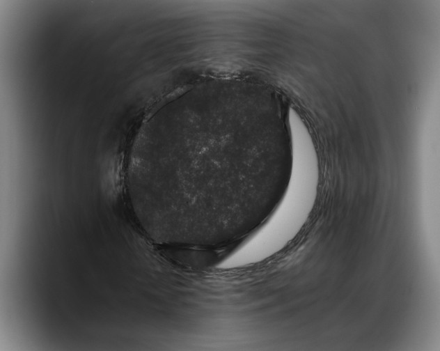 X0000088670818200706141334