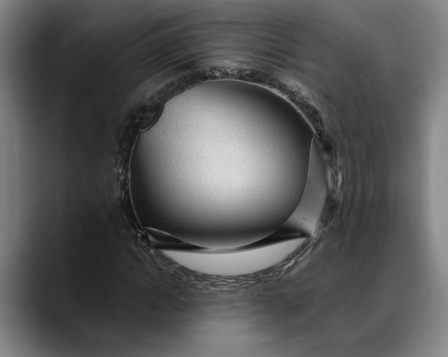 X0000088670822200706141334