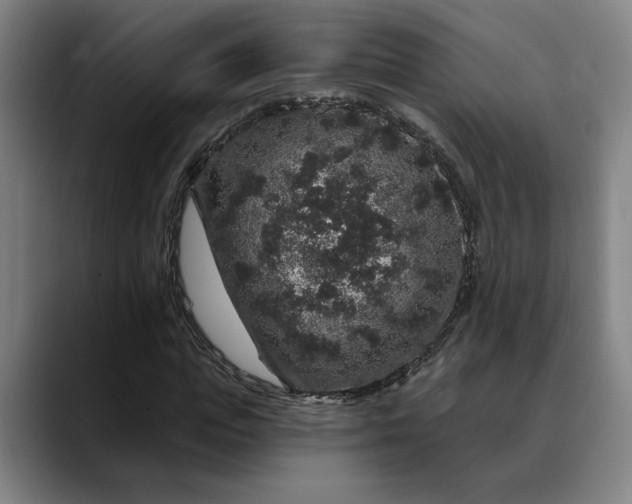 X0000088670823200706141334