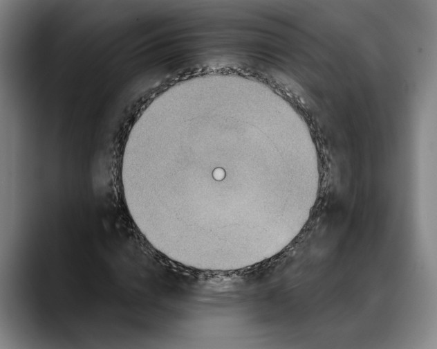 X0000088670824200706141334