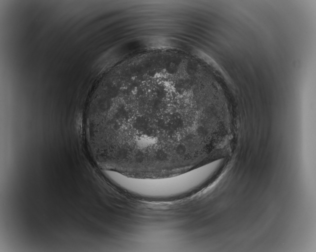 X0000088670825200706141334
