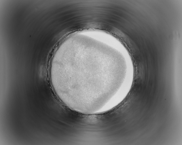 X0000088670828200706141334