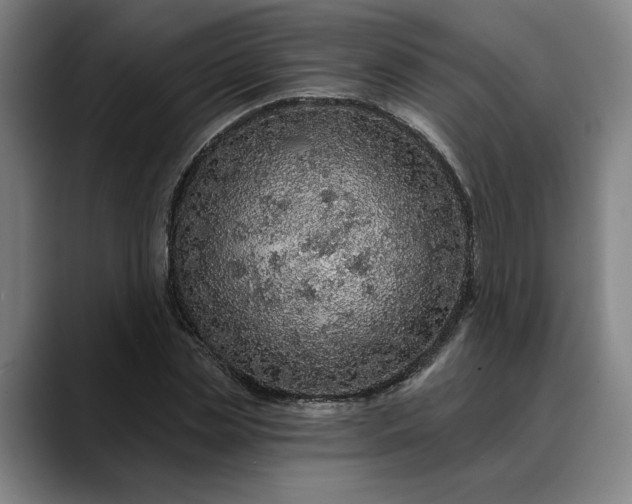 X0000088670829200706141334