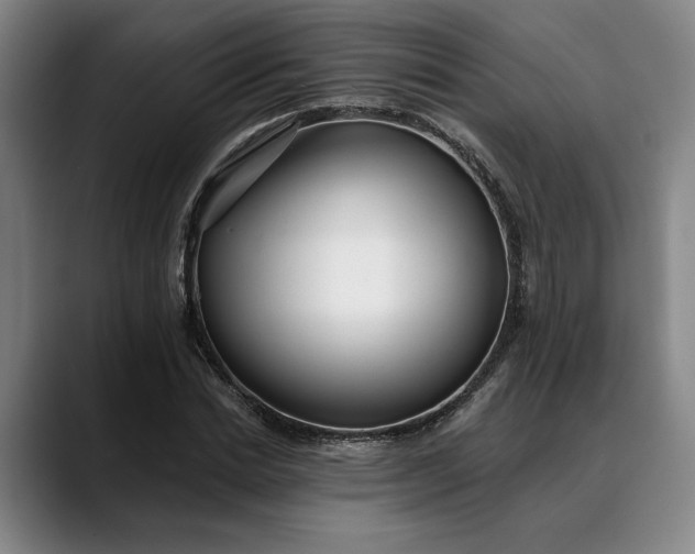 X0000088670830200706141334