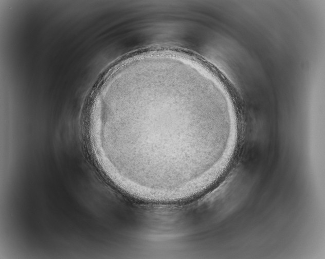 X0000088670832200706141334