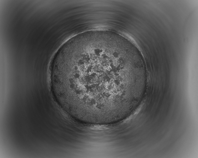 X0000088670835200706141334