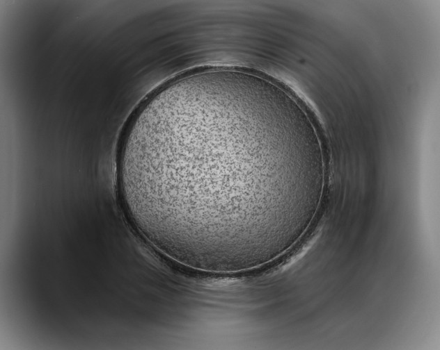 X0000088670837200706141334