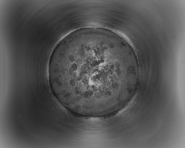 X0000088670839200706141334