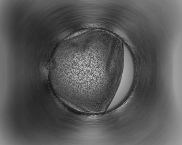 X0000088670841200706141334