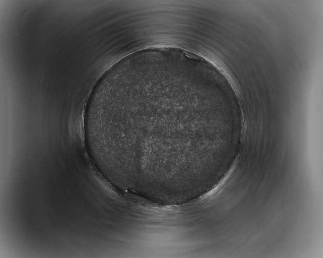 X0000088670842200706141334