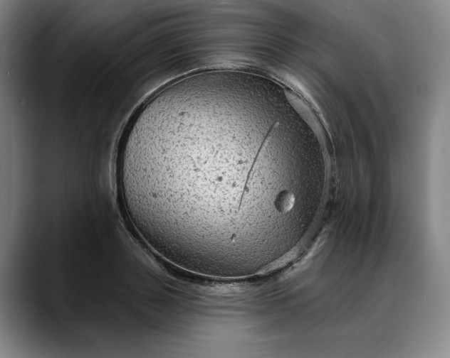 X0000088670843200706141334