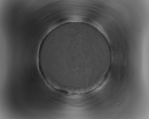 X0000088670845200706141334