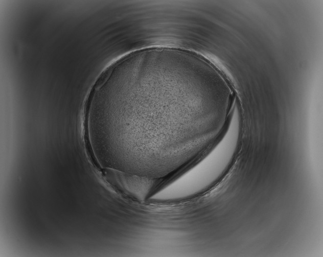 X0000088670846200706141335