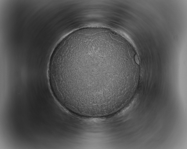 X0000088670847200706141335