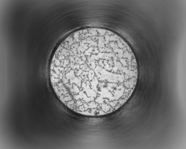 X0000088670848200706141335