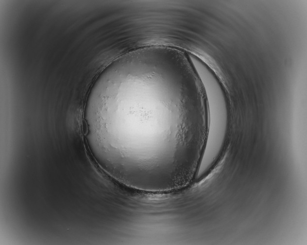 X0000088670849200706141335