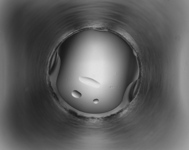 X0000088670850200706141335