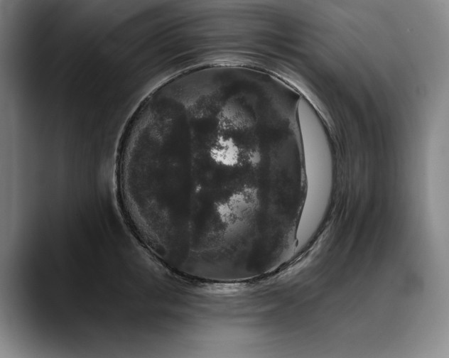 X0000088670853200706141335