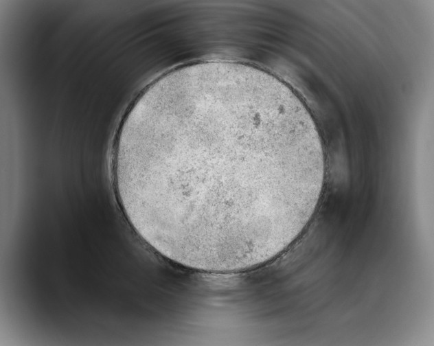 X0000088670856200706141335