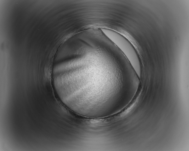 X0000088670857200706141335