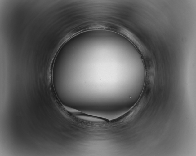 X0000088670858200706141335
