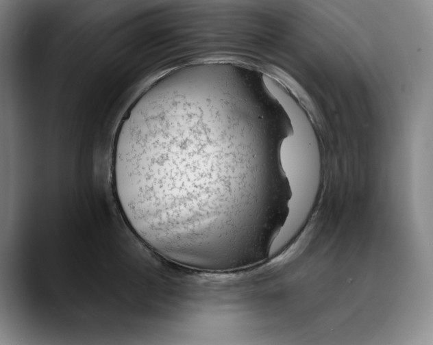 X0000088670860200706141335