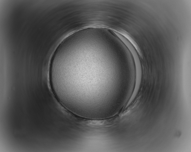 X0000088670861200706141335