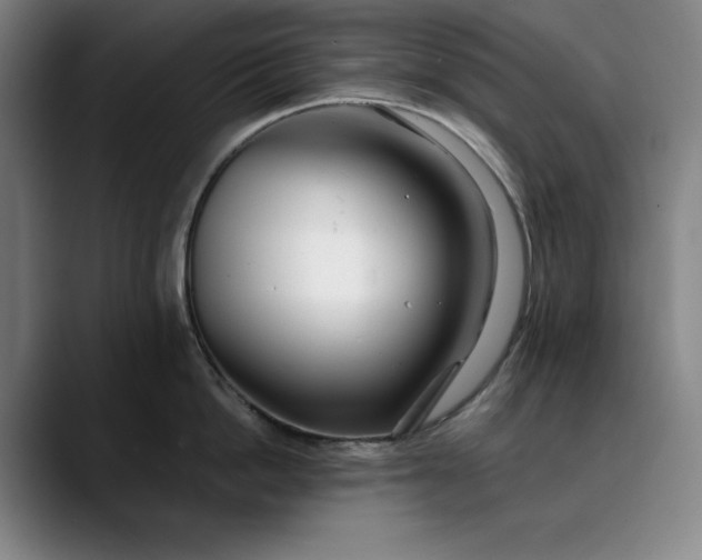 X0000088670862200706141335