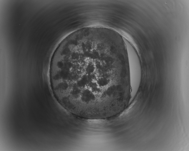 X0000088670863200706141335