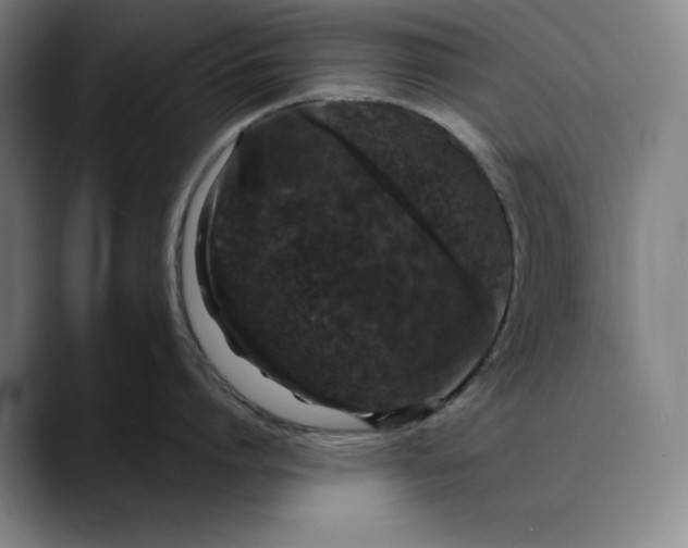 X0000088670864200706141335