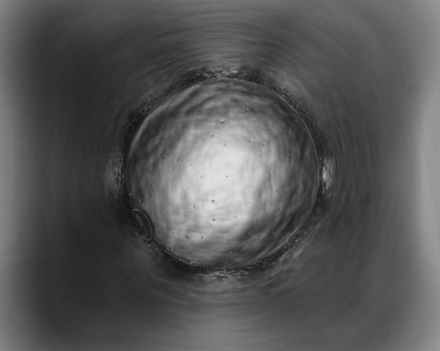 X0000088670867200706141334